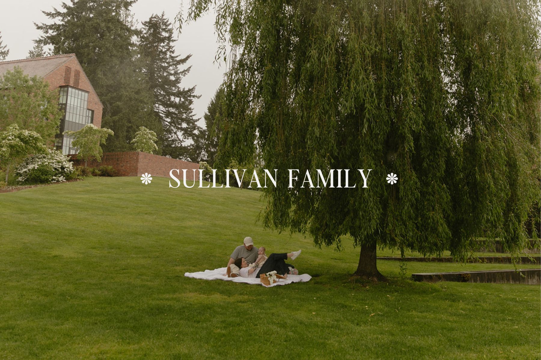 Tacoma family photography session under a willow tree in a manicured green field during spring.